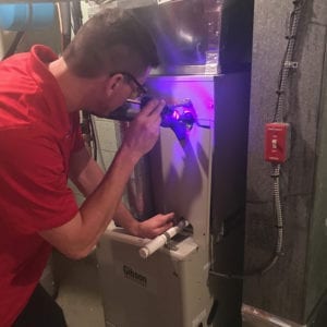 AC Dye Test